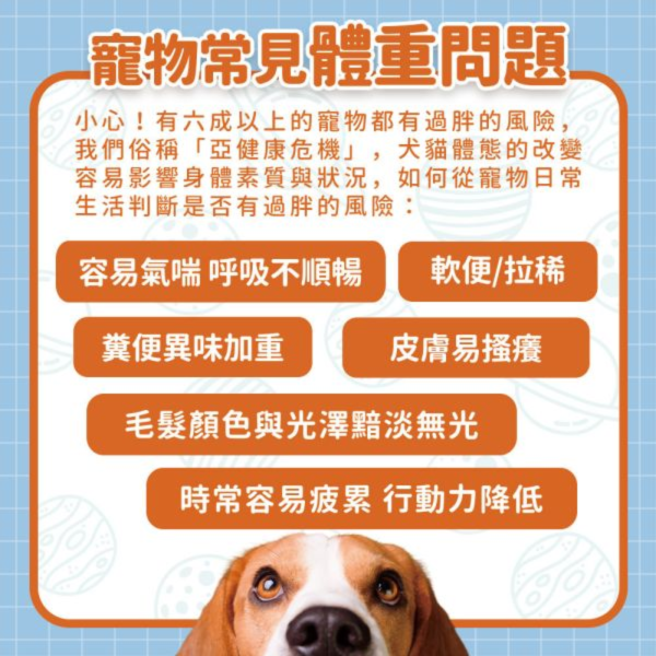 【毛孩星球官網獨家販售】減重輕盈組｜體重控制保健＋關節行動力保健｜贈送心血管試用包 (3入) / 組 寵物保健品,老齡犬貓保健品,寵物保健食品,寵物保健推薦,寵物保健品牌,2025寵物保健品推薦,寵物保健品熱銷,狗狗保健,貓咪保健,寵物關節保健,寵物營養品,寵物益生菌,毛孩星球,pets,planet,petsplanet,寵物,貓,犬,狗,免疫力保健,乳鐵蛋白,抵抗力