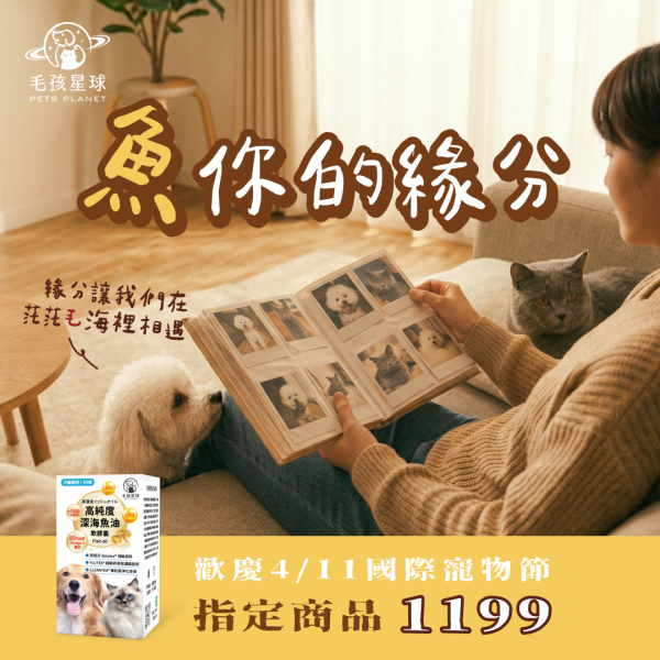 【歡慶國際寵物節】魚油綜合保健組｜限時特惠 寵物保健品,狗狗保健,貓咪保健,寵物保健食品,寵物關節保健,寵物營養品,寵物魚油,視力保健,寵物益生菌,腸胃保健,免疫力保健,毛孩星球,pets,planet,petsplanet,寵物,貓,犬,狗,