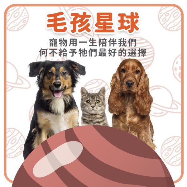 歡慶雙12活動┃【毛孩星球】（30入/組）任選兩盒特惠組 寵物保健品,狗狗保健,貓咪保健,寵物保健食品,寵物關節保健,寵物營養品,寵物魚油,視力保健,寵物益生菌,腸胃保健,免疫力保健,毛孩星球,pets,planet,petsplanet,寵物,貓,犬,狗,