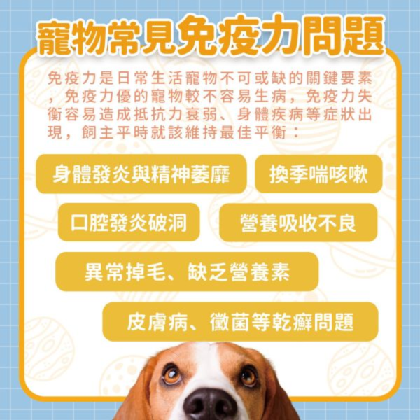 【毛孩星球官網獨家販售】奶萌寶寶組｜免疫力機能平衡＋心血管養護保健｜贈送化毛排毛包 (3入) / 組 寵物保健品,老齡犬貓保健品,寵物保健食品,寵物保健推薦,寵物保健品牌,2025寵物保健品推薦,寵物保健品熱銷,狗狗保健,貓咪保健,寵物關節保健,寵物營養品,寵物益生菌,毛孩星球,pets,planet,petsplanet,寵物,貓,犬,狗,腸胃保健,綜合營養保健免疫力保健,乳鐵蛋白,抵抗力,牛磺酸.輔酵素Q10