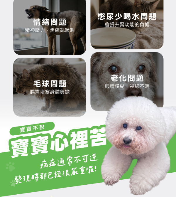 全方位綜合營養保健粉(30包/盒)鯊魚軟骨 胺基酸 寵物B群 牛磺酸《地球》寵物益生菌/狗狗益生菌【毛孩星球】 毛孩星球,寵物保健,寵物營養品,牛磺酸,葡萄糖胺,鯊魚軟骨,維生素B群,海藻鈣
