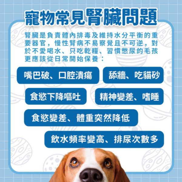 【贈品】腎臟泌尿保健粉 30入/盒 寵物保健品,老齡犬貓保健品,寵物保健食品,寵物保健推薦,寵物保健品牌,2025寵物保健品推薦,寵物保健品熱銷,狗狗保健,貓咪保健,寵物關節保健,寵物營養品,寵物益生菌,毛孩星球,pets,planet,petsplanet,寵物,貓,犬,狗