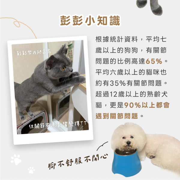 《土星》關節行動力強化保健粉(30包/盒)海藻鈣+膠原蛋白複合物+維生素D3 加強寵物關節 寵物保健/貓咪益生菌 狗狗關節保健食品,寵物關節保養,狗狗關節炎,貓狗關節保健