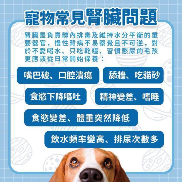 【贈品】腎臟泌尿保健粉體驗組 (5包入) 狗腎臟保健,貓腎臟保健,寵物泌尿,貓泌尿保健,體驗,試吃