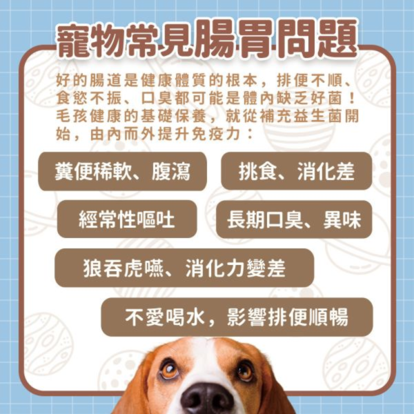 【毛孩星球官網獨家販售】絕育保健組｜全方位綜合營養＋腸胃保健益生菌｜贈送免疫力平衡試用包 (3入) / 組 寵物保健品,老齡犬貓保健品,寵物保健食品,寵物保健推薦,寵物保健品牌,2025寵物保健品推薦,寵物保健品熱銷,狗狗保健,貓咪保健,寵物關節保健,寵物營養品,寵物益生菌,毛孩星球,pets,planet,petsplanet,寵物,貓,犬,狗,腸胃保健,綜合營養保健免疫力保健,乳鐵蛋白,抵抗力