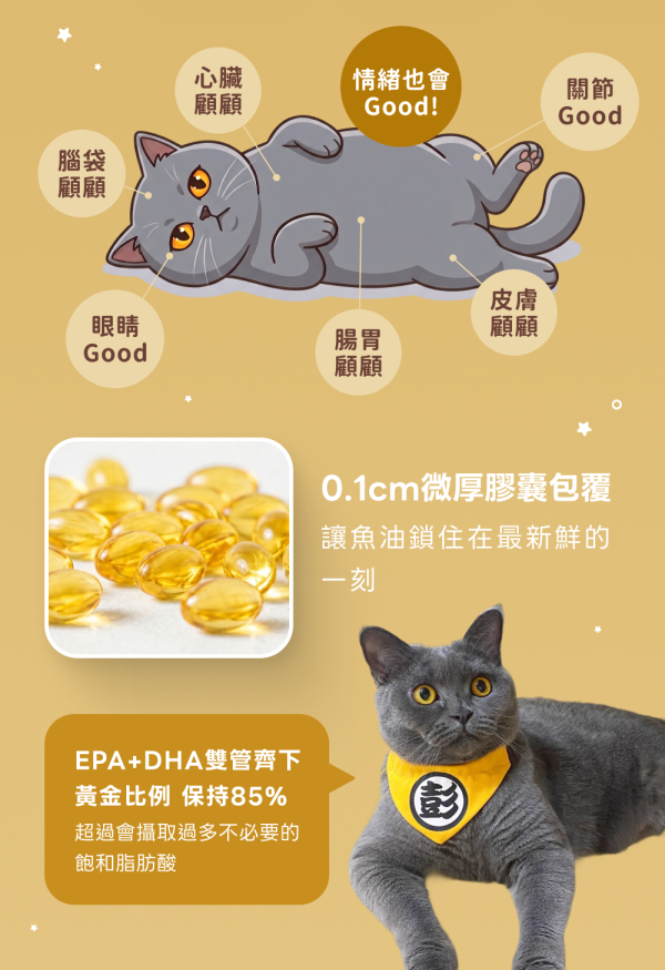 《彗星》高純度深海魚油膠囊30顆/盒 ＆60顆/盒 90%高純度Omega-3 DHA EPA 寵物魚油 貓魚油 狗魚油【毛孩星球】 寵物魚油,狗狗魚油,寵物保健,魚油推薦,狗貓魚油,寵物保健,毛孩,犬貓防護,寵物健康,毛孩毛髮