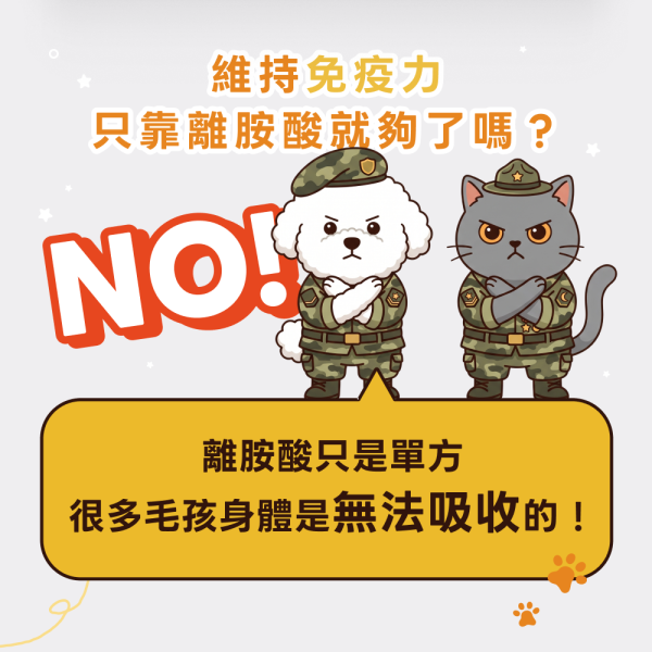 《太陽》免疫力機能平衡保健粉(30包/盒) ｜褐藻醣膠＋離胺酸＋乳鐵蛋白｜提升免疫力增強抵抗貓狗益生菌 寵物保健品,犬貓保健品,寵物保健食品,寵物保健推薦,寵物保健品牌,2025寵物保健品推薦,寵物保健品熱銷,狗狗保健,貓咪保健,寵物關節保健,寵物營養品,寵物益生菌,毛孩星球,pets,planet,petsplanet,寵物,貓,犬,狗,免疫力保健,乳鐵蛋白,酵母β.抵抗力