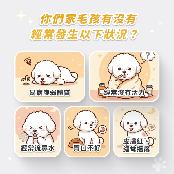 《太陽》免疫力機能平衡保健粉(30包/盒) ｜褐藻醣膠＋離胺酸＋乳鐵蛋白｜提升免疫力增強抵抗貓狗益生菌 寵物保健品,犬貓保健品,寵物保健食品,寵物保健推薦,寵物保健品牌,2025寵物保健品推薦,寵物保健品熱銷,狗狗保健,貓咪保健,寵物關節保健,寵物營養品,寵物益生菌,毛孩星球,pets,planet,petsplanet,寵物,貓,犬,狗,免疫力保健,乳鐵蛋白,酵母β.抵抗力