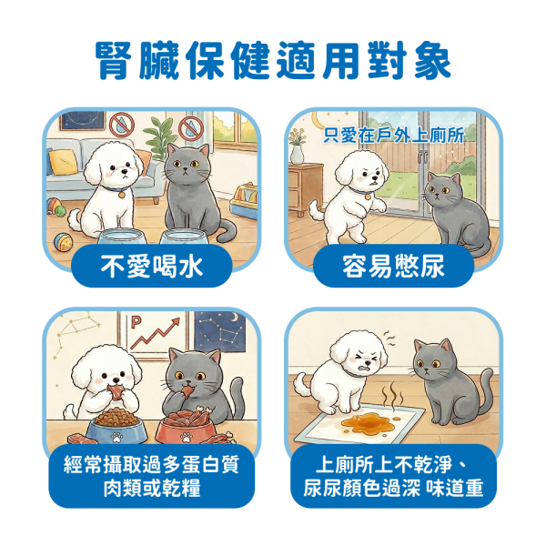 【毛孩星球】任選兩盒特惠組（30入/組） 寵物保健品,狗狗保健,貓咪保健,寵物保健食品,寵物關節保健,寵物營養品,寵物魚油,視力保健,寵物益生菌,腸胃保健,免疫力保健,毛孩星球,pets,planet,petsplanet,寵物,貓,犬,狗,