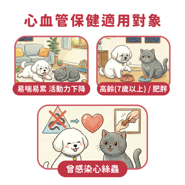 《火星》心血管養護保健粉(30包/盒)魚油 輔酵素酶Q10+魚油粉+松樹皮萃取+納豆激酶 狗益生菌/貓益生菌 寵物心血管保養,寵物保健品,寵物心臟,寵物保健,犬貓保健,犬貓心血管,,