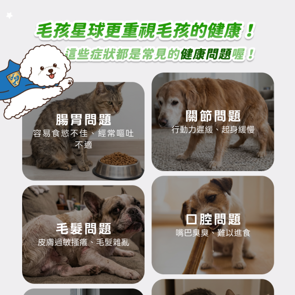 全方位綜合營養保健粉(30包/盒)鯊魚軟骨 胺基酸 寵物B群 牛磺酸《地球》寵物益生菌/狗狗益生菌【毛孩星球】 毛孩星球,寵物保健,寵物營養品,牛磺酸,葡萄糖胺,鯊魚軟骨,維生素B群,海藻鈣