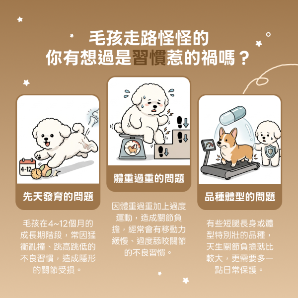 《土星》關節行動力強化保健粉(30包/盒)海藻鈣+膠原蛋白複合物+維生素D3 加強寵物關節 寵物保健/貓咪益生菌 狗狗關節保健食品,寵物關節保養,狗狗關節炎,貓狗關節保健