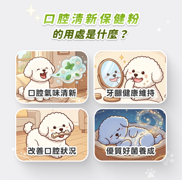 口腔清新護理保健粉(30包/盒)蜂膠萃取物+口腔益生菌+酵母維他命B群《寵物保健/貓咪益生菌/狗狗保健》【毛孩星球】 寵物保健,寵物口臭,狗嘴巴臭,貓口臭,寵物異味.