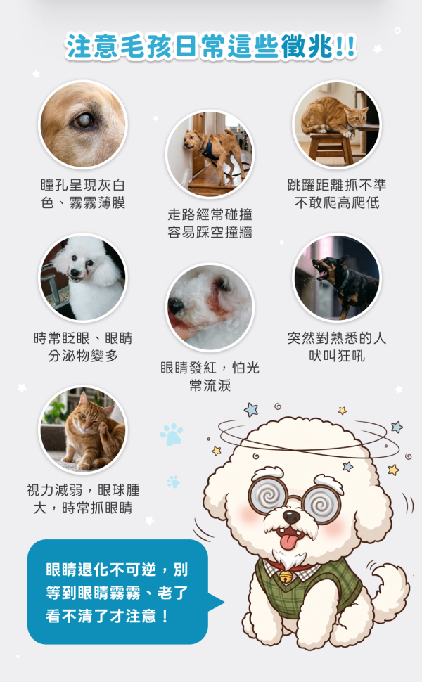 《天王星》護眼晶亮保健粉(30包/盒)葉黃素 金盞花萃取 山桑子 寵物益生菌/狗狗益生菌/狗狗葉黃素【毛孩星球】 寵物眼睛保健,貓眼睛保健,貓淚痕,貓眼睛保養,體驗,試吃,犬貓眼睛疾病,犬貓保健,寵物健康,毛孩保健,寵物醫療,保健食品,