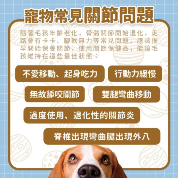 【毛孩星球官網獨家販售】減重輕盈組｜體重控制保健＋關節行動力保健｜贈送心血管試用包 (3入) / 組 寵物保健品,老齡犬貓保健品,寵物保健食品,寵物保健推薦,寵物保健品牌,2025寵物保健品推薦,寵物保健品熱銷,狗狗保健,貓咪保健,寵物關節保健,寵物營養品,寵物益生菌,毛孩星球,pets,planet,petsplanet,寵物,貓,犬,狗,免疫力保健,乳鐵蛋白,抵抗力