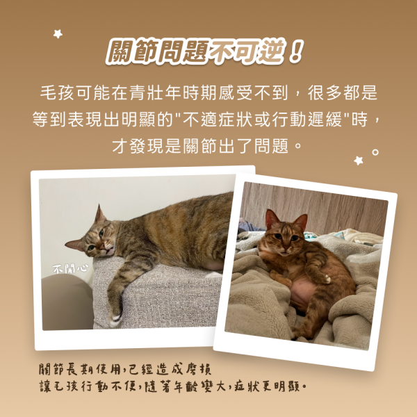 《土星》關節行動力強化保健粉(30包/盒)海藻鈣+膠原蛋白複合物+維生素D3 加強寵物關節 寵物保健/貓咪益生菌 狗狗關節保健食品,寵物關節保養,狗狗關節炎,貓狗關節保健