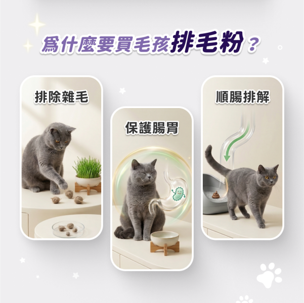 《冥王星》化毛排毛保健粉(30包/盒)SP137益生菌 天然纖維 吐毛球 腸胃保健 貓排毛【毛孩星球】 貓咪化毛,排毛粉,貓用化毛,狗用化毛,化毛排毛,寵物腸胃保健,益生菌
