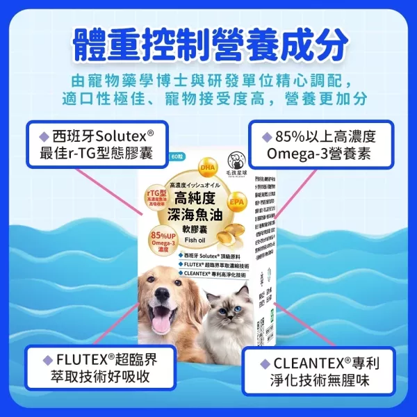 《彗星》高純度深海魚油膠囊30顆/盒 90%高純度Omega-3 DHA EPA 寵物魚油 貓魚油 狗魚油【毛孩星球】 寵物魚油,狗狗魚油,寵物保健,魚油推薦,狗貓魚油,寵物保健,毛孩,犬貓防護,寵物健康,毛孩毛髮