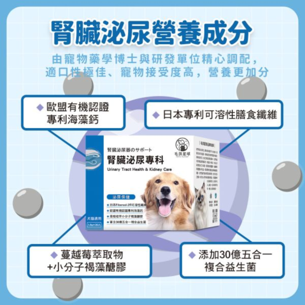 【贈品】腎臟泌尿保健粉 30入/盒 寵物保健品,老齡犬貓保健品,寵物保健食品,寵物保健推薦,寵物保健品牌,2025寵物保健品推薦,寵物保健品熱銷,狗狗保健,貓咪保健,寵物關節保健,寵物營養品,寵物益生菌,毛孩星球,pets,planet,petsplanet,寵物,貓,犬,狗