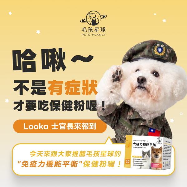 《太陽》免疫力機能平衡保健粉(30包/盒) ｜褐藻醣膠＋離胺酸＋乳鐵蛋白｜提升免疫力增強抵抗貓狗益生菌 寵物保健品,犬貓保健品,寵物保健食品,寵物保健推薦,寵物保健品牌,2025寵物保健品推薦,寵物保健品熱銷,狗狗保健,貓咪保健,寵物關節保健,寵物營養品,寵物益生菌,毛孩星球,pets,planet,petsplanet,寵物,貓,犬,狗,免疫力保健,乳鐵蛋白,酵母β.抵抗力