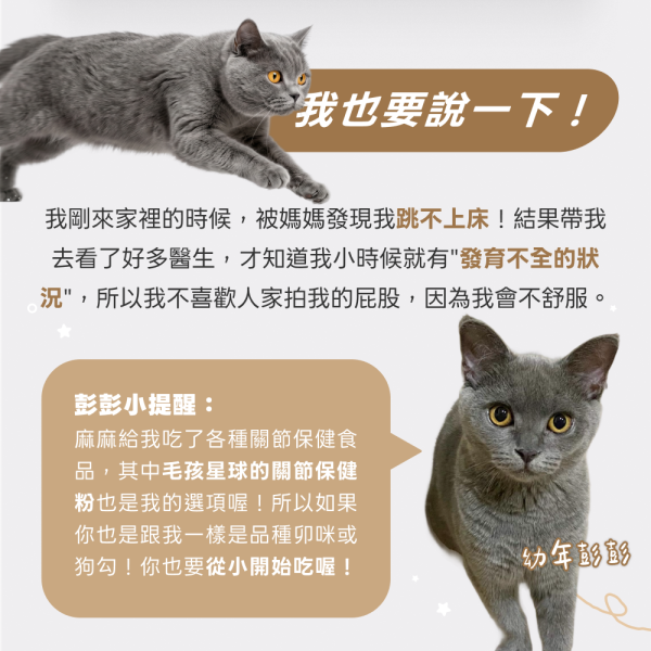 《土星》關節行動力強化保健粉(30包/盒)海藻鈣+膠原蛋白複合物+維生素D3 加強寵物關節 寵物保健/貓咪益生菌 狗狗關節保健食品,寵物關節保養,狗狗關節炎,貓狗關節保健