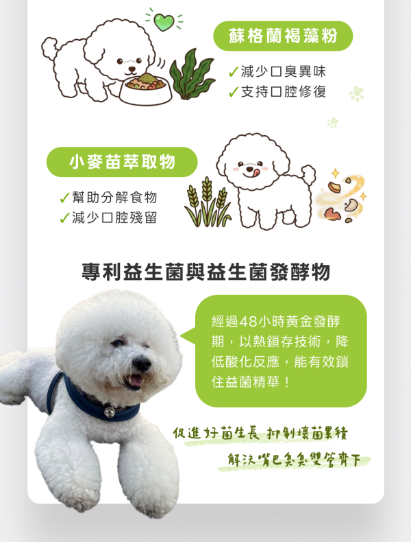 口腔清新護理保健粉(30包/盒)蜂膠萃取物+口腔益生菌+酵母維他命B群《寵物保健/貓咪益生菌/狗狗保健》【毛孩星球】 寵物保健,寵物口臭,狗嘴巴臭,貓口臭,寵物異味.