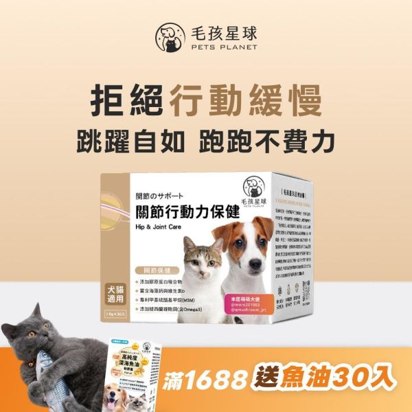 《土星》關節行動力強化保健粉(30包/盒)海藻鈣+膠原蛋白複合物+維生素D3 加強寵物關節 寵物保健/貓咪益生菌 狗狗關節保健食品,寵物關節保養,狗狗關節炎,貓狗關節保健