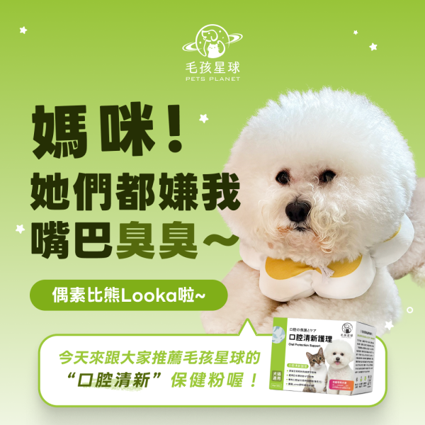 口腔清新護理保健粉(30包/盒)蜂膠萃取物+口腔益生菌+酵母維他命B群《寵物保健/貓咪益生菌/狗狗保健》【毛孩星球】 寵物保健,寵物口臭,狗嘴巴臭,貓口臭,寵物異味.