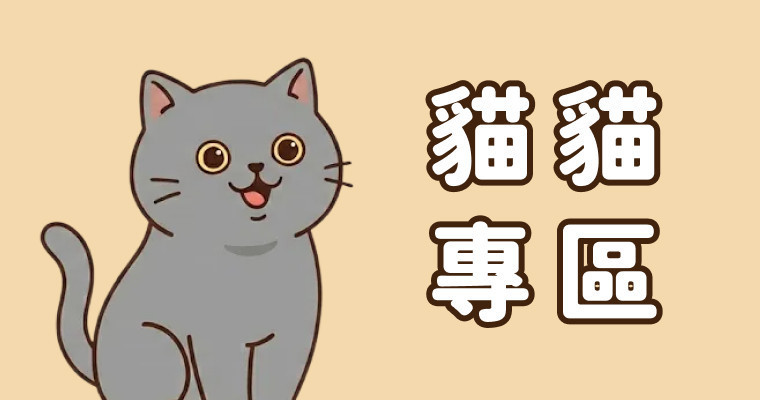 cat貓咪