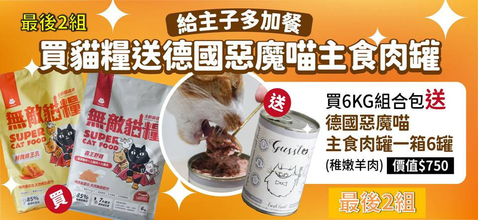 🐱最新會員活動都在這｜隨時更新不錯過 - 專屬貓奴的創意市集 - 貓樂園