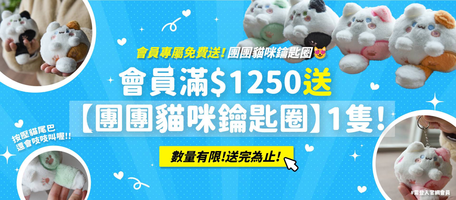 💰加入官網會員VIP｜天天享受購物金折扣 - 專屬貓奴的創意市集 - 貓樂園