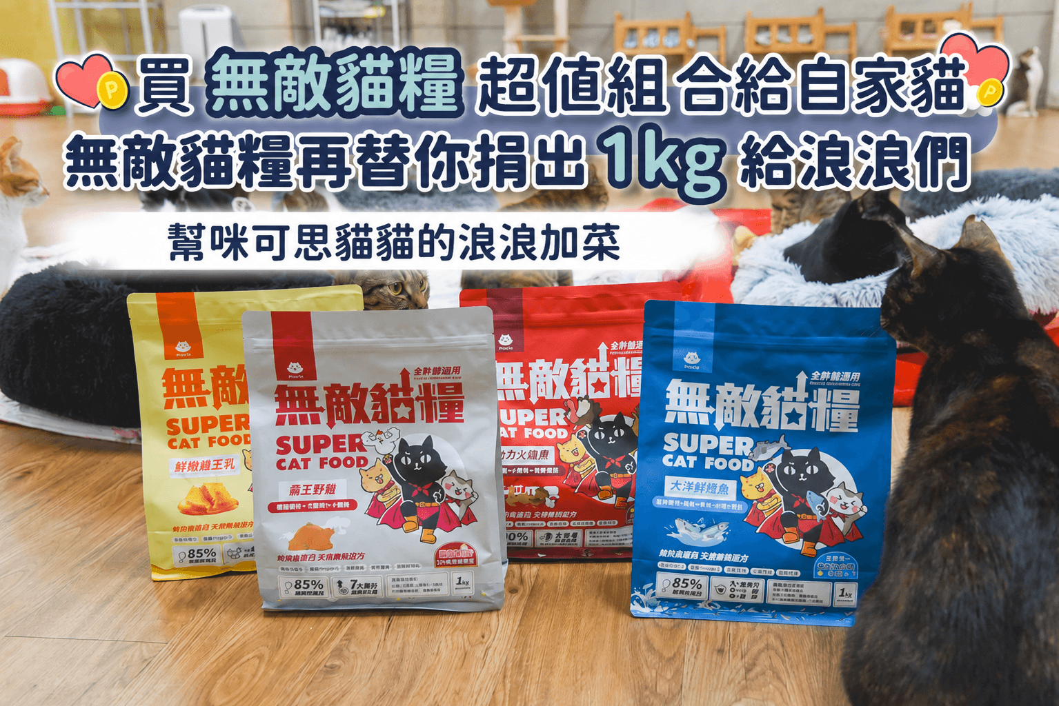 【新北_中和】咪可思流浪動物協會 - ParkCat 無敵貓糧 |台灣貓飼料品牌推薦，給您高品質營養無穀貓糧