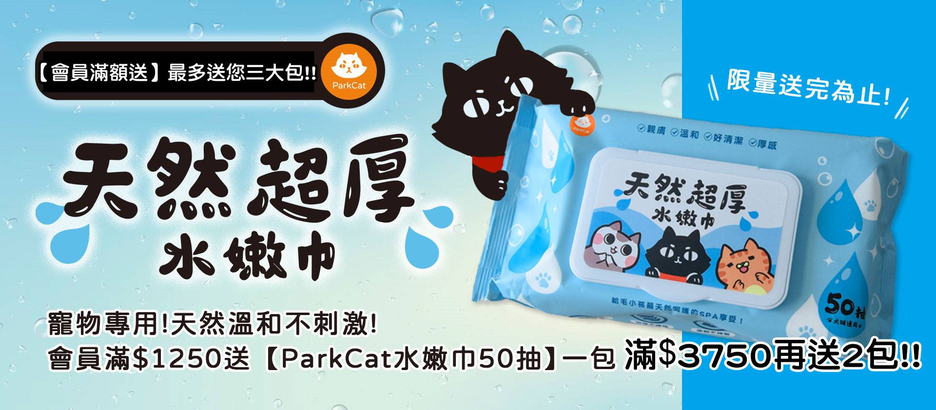 🐱最新會員活動都在這｜隨時更新不錯過 - 專屬貓奴的創意市集 - 貓樂園