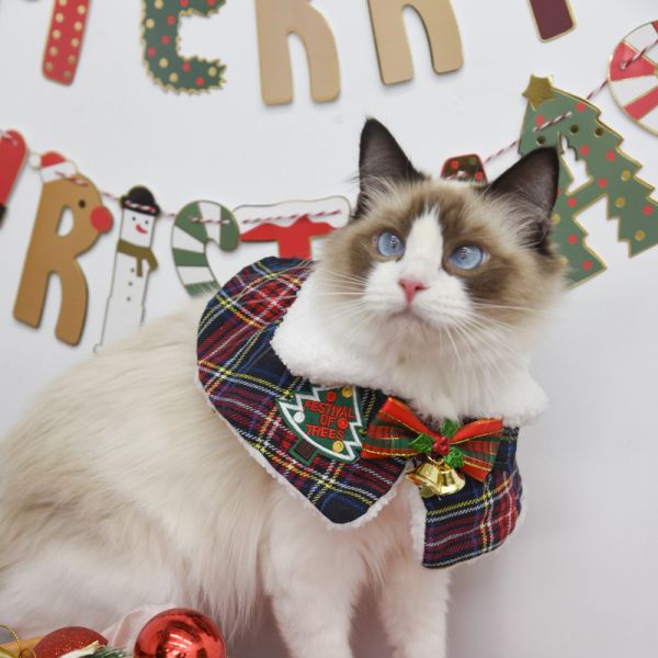 【主子聖誕限定】主子聖誕小披風 *全館滿額隨機送一套* 數量有限送完為止 