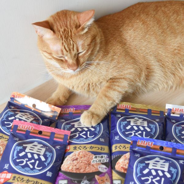 【主子的頂級饗宴】CIAO全魚宴餐包 60g*3入 