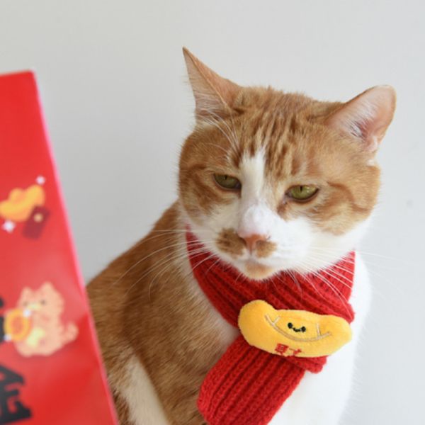 【萌寵新年限定】寵物新年針織圍巾 