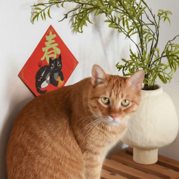 【ParkCat獨家原創設計】春聯貼紙 共11+2款  *全館滿額即贈一組* 