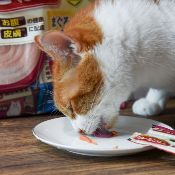 *活動贈品* CIAO綜合營養主食功效肉泥60入 