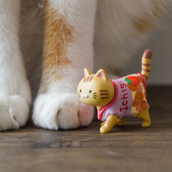 【蹓躂蹓躂】散步餅乾貓咪公仔盲盒 *滿額隨機送1盒* 