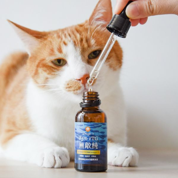 【活動贈品】ParkCat 85%無敵純 高濃度魚油 (兩罐) 寵物魚油,ParkCat保健品,無敵純,魚油,皮膚保建,心血管,眼睛保健,貓咪,狗狗,rTG,85%高濃度,毛孩魚油,小棕瓶,貓魚油,犬貓適用