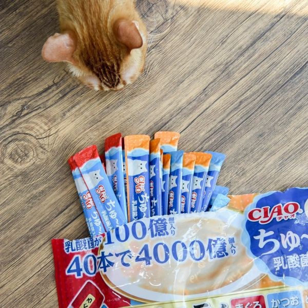 【活動贈品】4000億乳酸菌CIAO肉泥40入*隨機口味* 