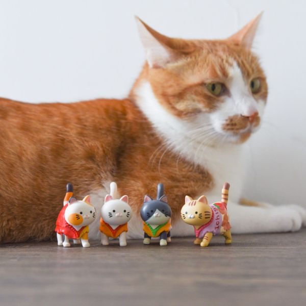 【蹓躂蹓躂】散步餅乾貓咪公仔盲盒 *滿額隨機送1盒* 