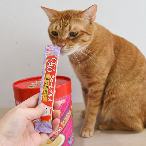 【限量超低價】日本CIAO60入肉泥桶 