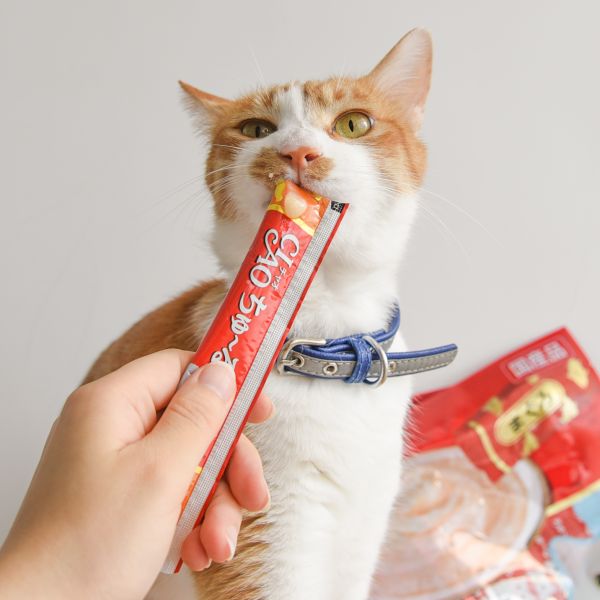 【活動贈品】CIAO肉泥 一袋40入 