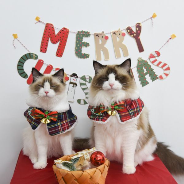 【主子聖誕限定】主子聖誕小披風 *全館滿額隨機送一套* 數量有限送完為止 