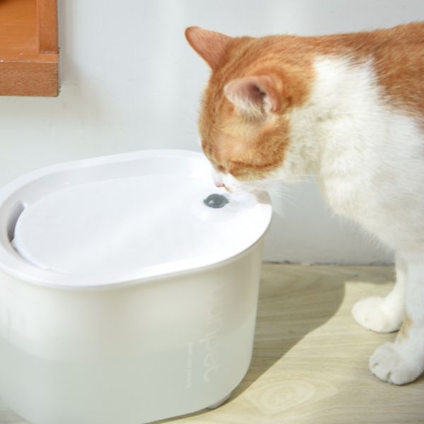 【主子愛喝水法寶】uah有哈3.0寵物無線智能飲水機 