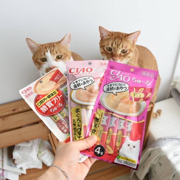 【現貨低價】日本產 CIAO肉泥一包四條 熱門口味隨機，單次最多10包 貓零食 ciao 肉泥 ptt 最低價格 優惠 推薦
原售價51

8/4 移240包