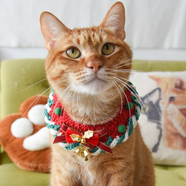 【注意！聖誕貓出沒】手工編織項圈 共105條
52組
會多一條