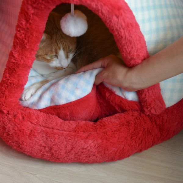 【四季都好眠】蘋果樹帳篷寵物貓窩 