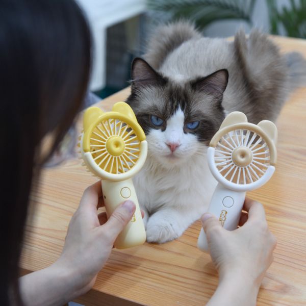 【小體積大風力】翹尾貓手持風扇 